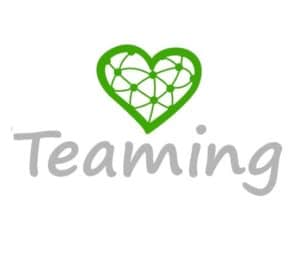 teaming_don_internet | justeunfoyer.fr